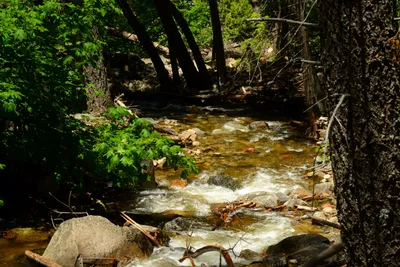 DSC_2342 (Large).JPG